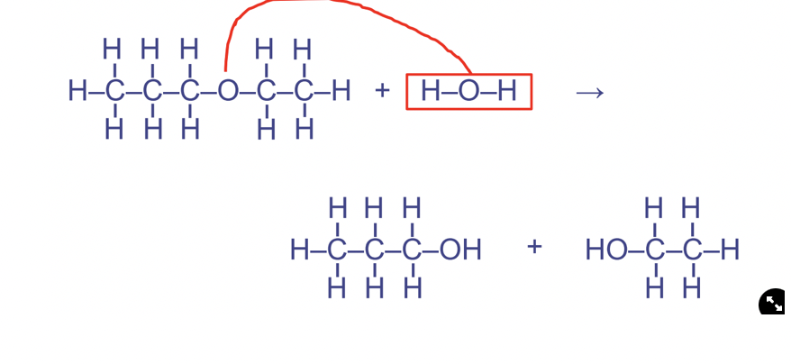 <p>Water is used to break down/rupture, catabolic, water required and used up as a reactant</p>