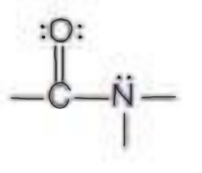 <p>Name the functional group</p>