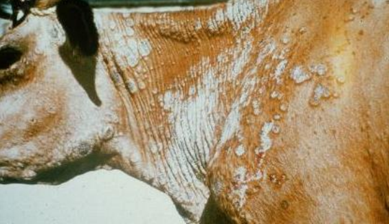 <p>What does this image show?</p>