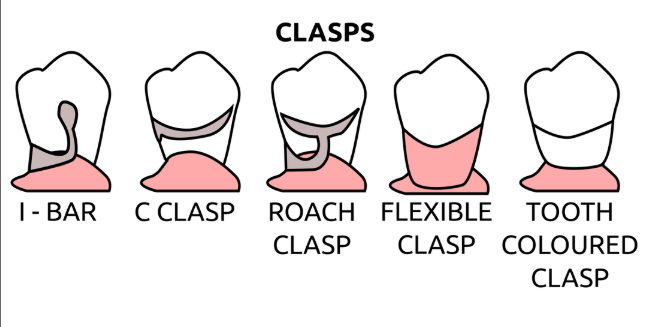 <p>describe clasp </p>
