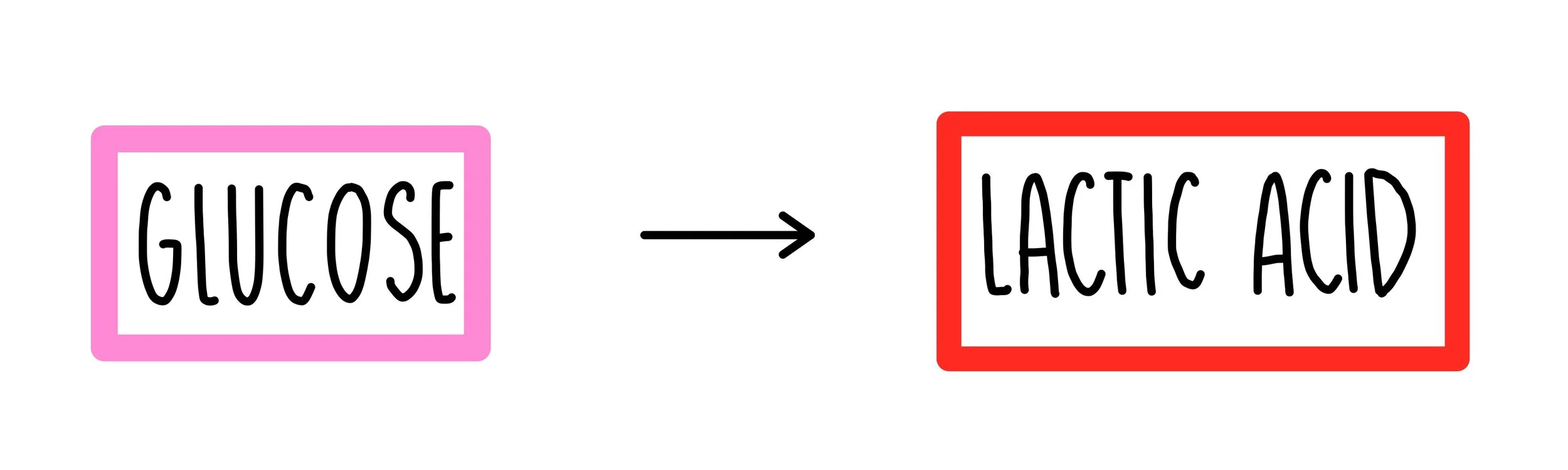 <ul><li><p>does <strong>NOT</strong> require oxygen</p></li></ul><p></p><ul><li><p>the incomplete break down of glucose molecules releases <strong>significantly less energy</strong> compared to aerobic respiration.</p></li></ul><p></p>
