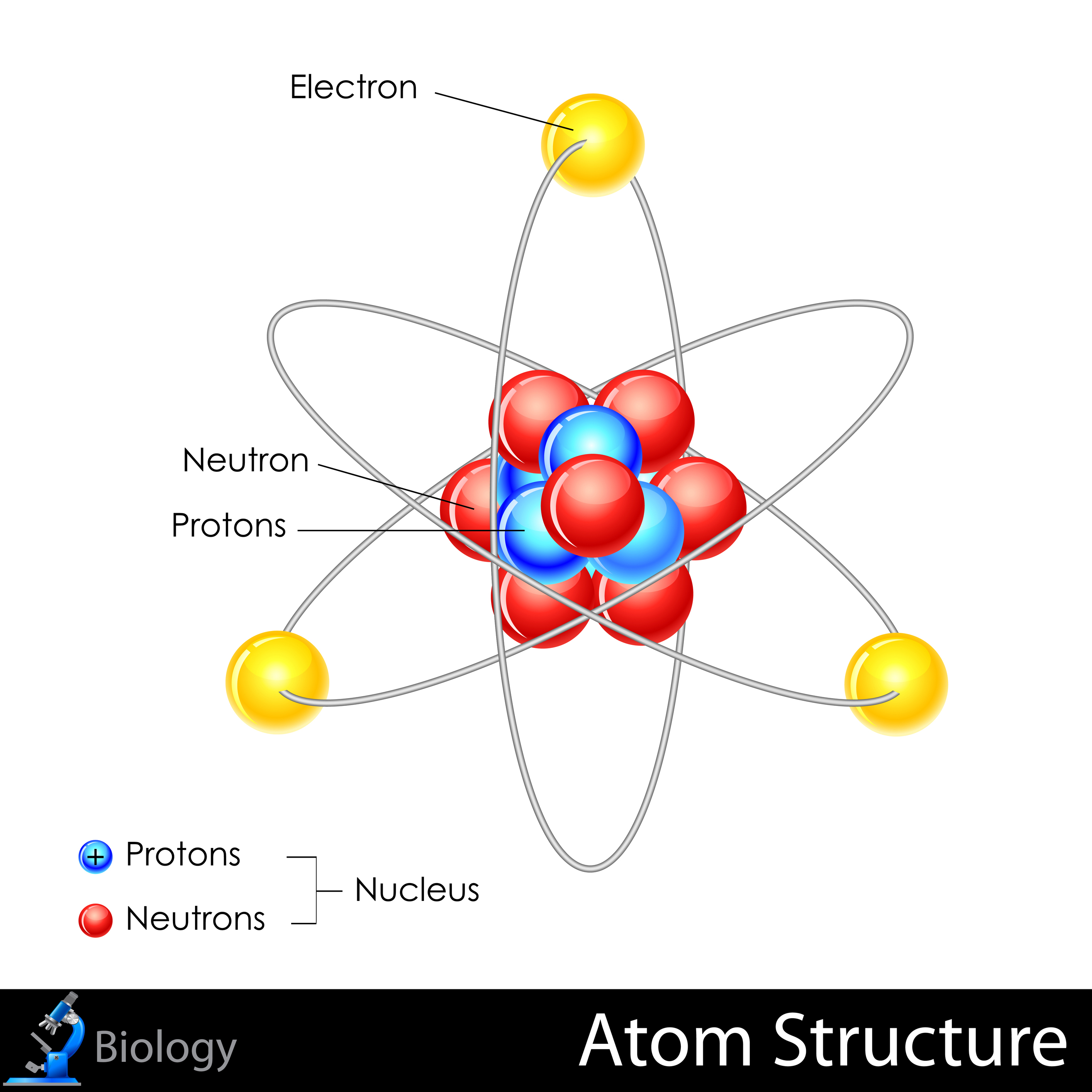 <p>1- The smallest nonliving unit of matter</p>