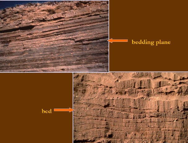 <p>Surface of a layer of sediment called the bed. Used to determine order/timing of accumulation of sediments that form beds. Characteristics of these (erosion, cementation, boring, etc) are used to aid in sedimentary rock interpretation</p><p>Individual beds are produced under constant physical, biological, or chemical conditions</p>