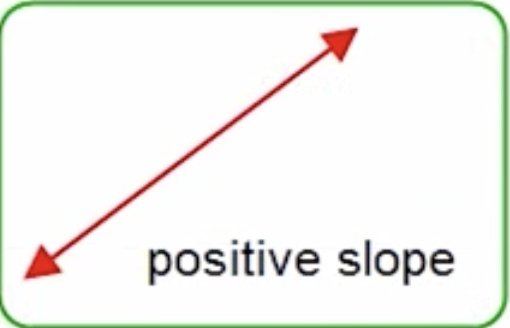<p>What is the slope (1.3)</p>