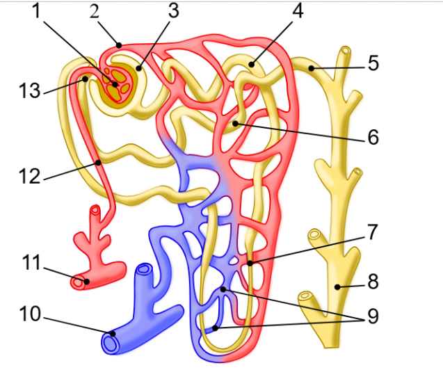 <p>5</p>