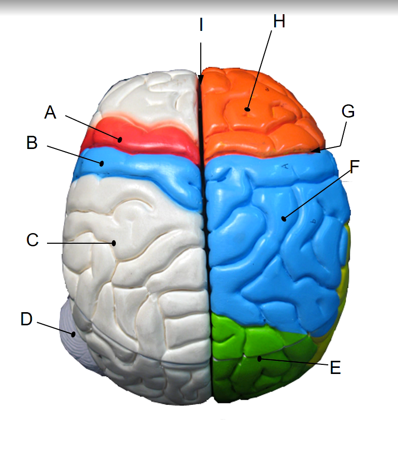 <p>B</p>