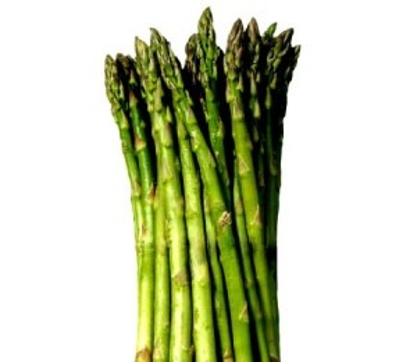<p>asparagus</p>