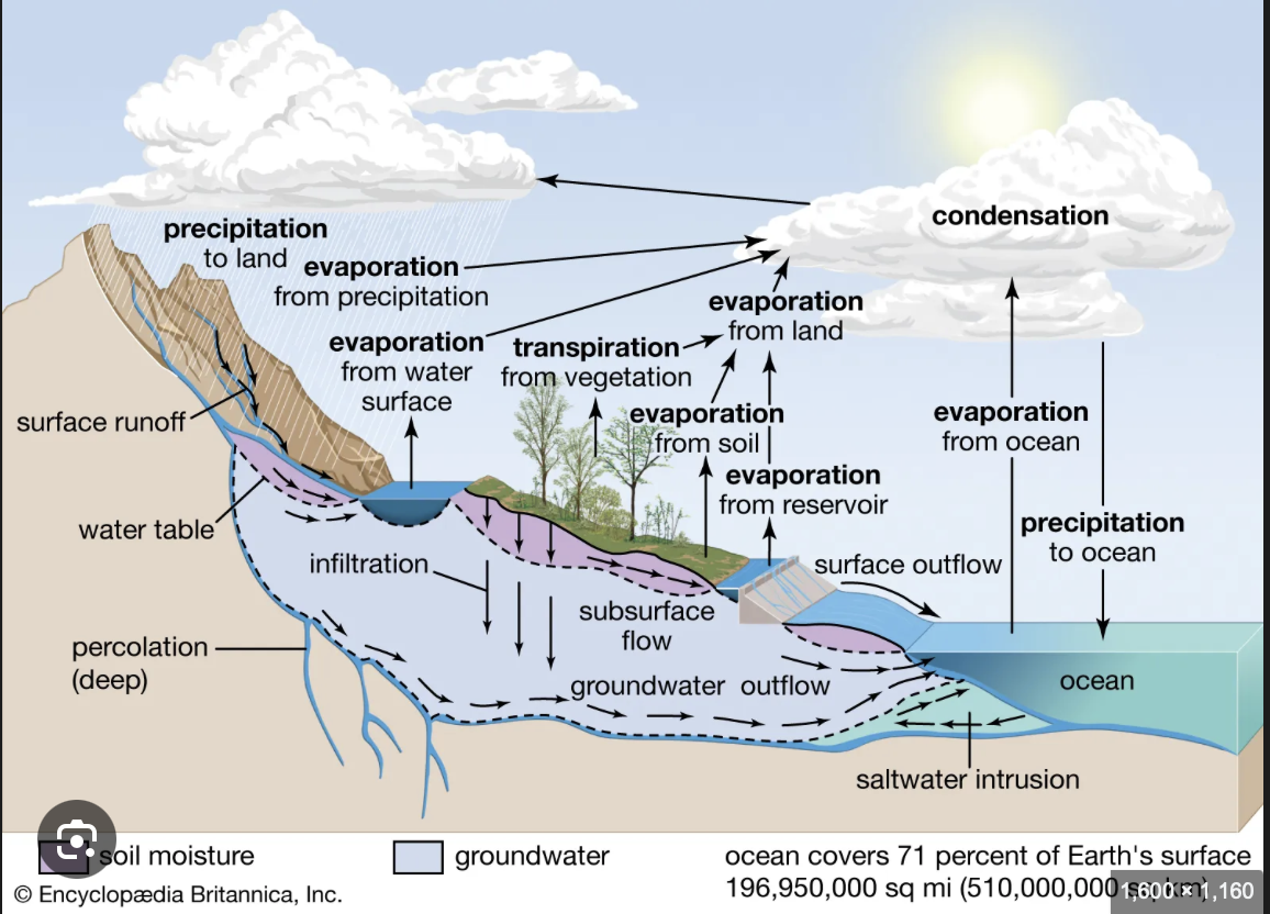 Hydrologic cycle!!<br />Desert formed on other side of the mountain.