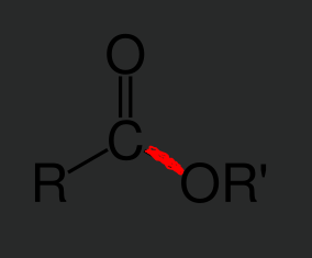 <p>A covalent bond formed between a hydroxyl group from a carboxylic acid and a hydrogen atom from an alcohol. This bond is characterized by a carbonyl group and an oxygen atom single bonded to a carbon. During the creation of this bond the carboxylic acid always loses donates the OH group and the alcohol the H atom.</p><p>This bond follows the form</p><p>R-C=O_O-R’</p>