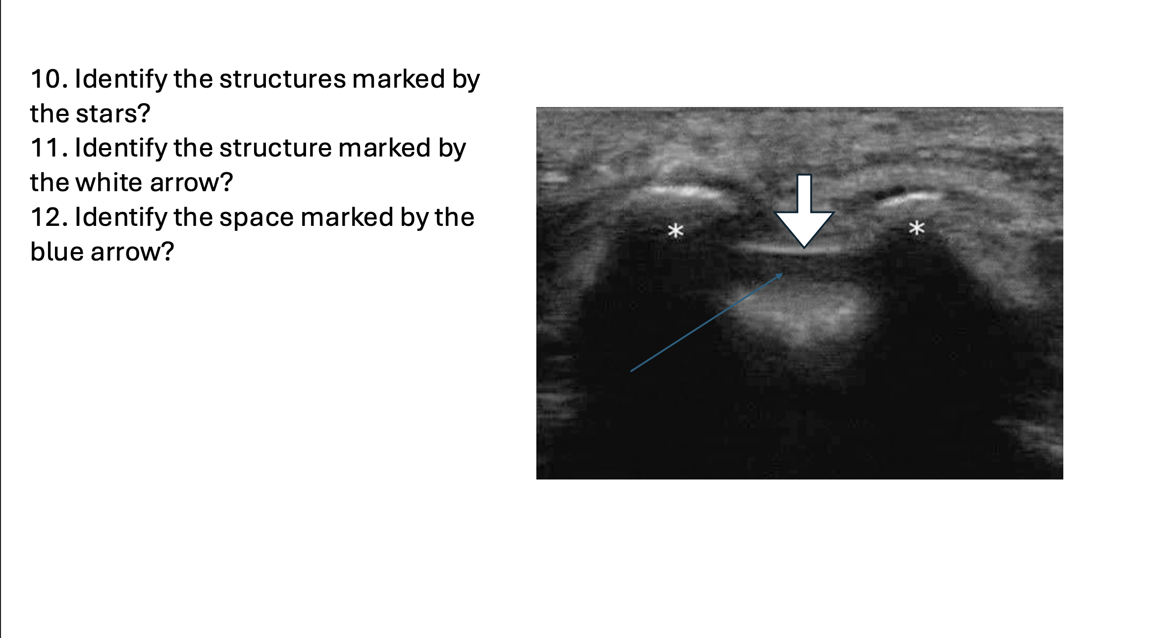 term image