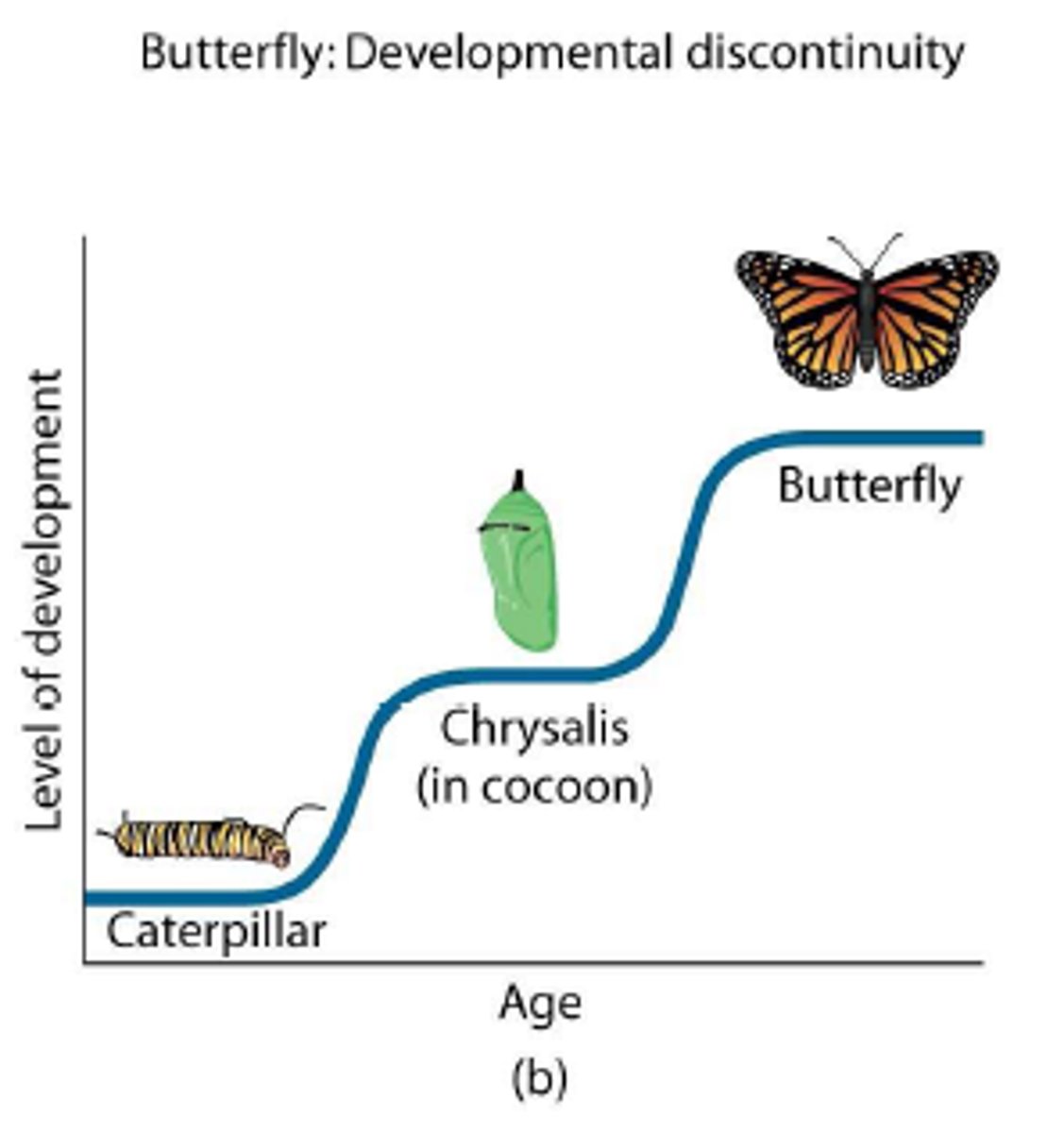 <p>idea that development takes place in district stages</p><p>ex. terrible 2s, adolescence, adulthood</p>
