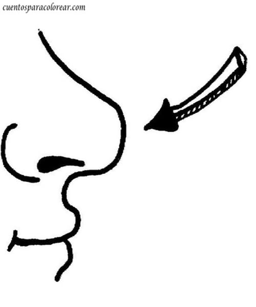 <p>nose</p>