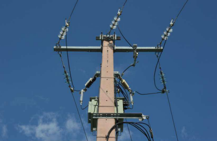 <p>To support telephone wires, electrical wires, and various other public utilities.</p>