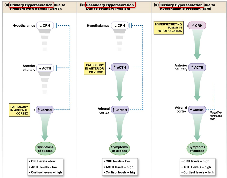 <p>diagnose based on relative hormone levels</p><ul><li><p><strong>primary</strong>: issue is with last endocrine gland in pathway</p></li><li><p><strong>secondary</strong>: issue with pituitary gland</p></li><li><p><strong>tertiary</strong>: issue with hypothalamus</p></li></ul>
