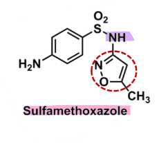 <ul><li><p><strong>benzenesulfonamide </strong>is essential for antibacterial activity </p></li><li><p><strong>isoxazole</strong> provides optimum activity </p><ul><li><p>acts as an EWG which increases </p></li></ul></li><li><p>Hydrogen is important off chain N</p><ul><li><p>without loss of activity</p></li></ul></li><li><p><strong>oral</strong></p></li></ul>