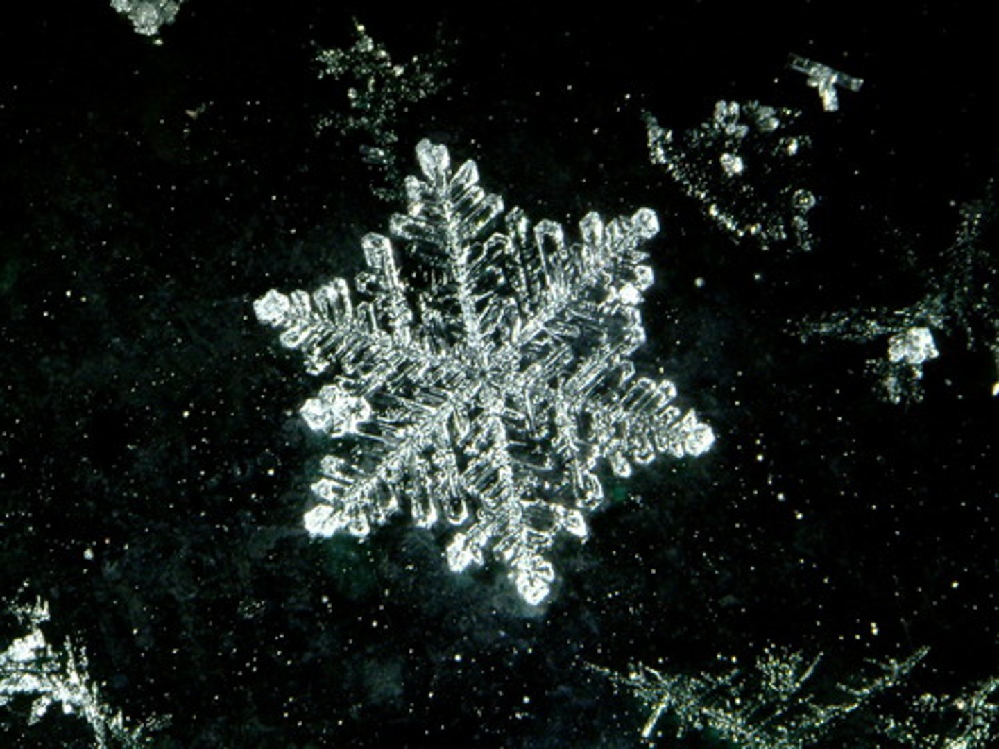 <p>bông, vụn mỏng</p>