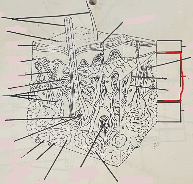 <p>What is this?</p>