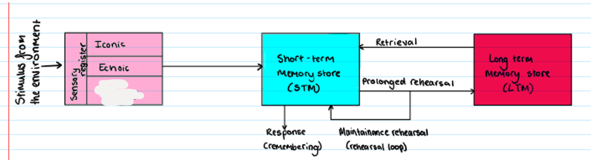 <p><strong>Multi Store Model</strong></p><p>What is missing?</p>