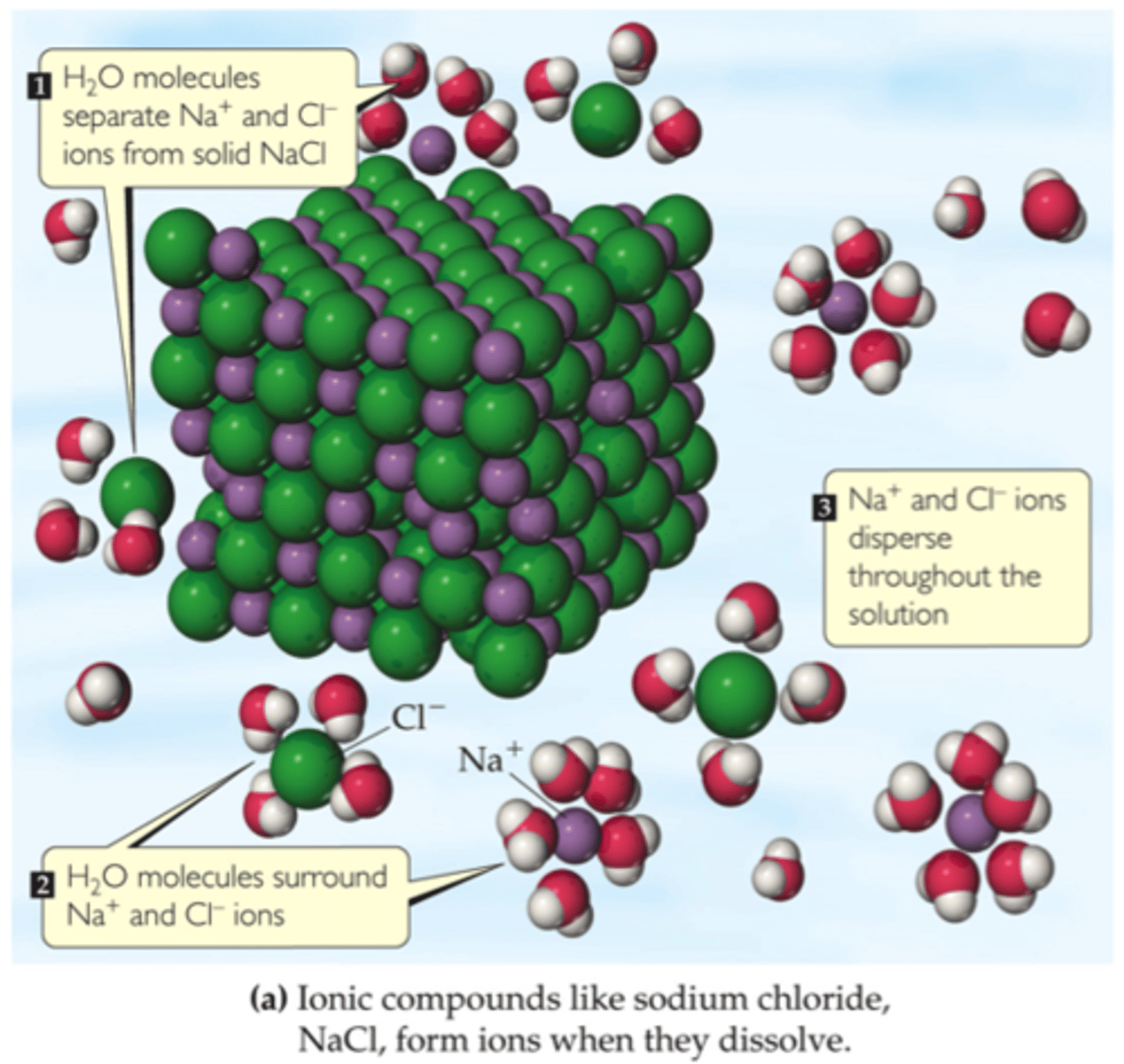 <p>each ion dissociates from the solid structure and disperses throughout the solution</p><p>anions are attracted to the partial positive end of water</p><p>cations are attracted to the partial negative end of water</p>