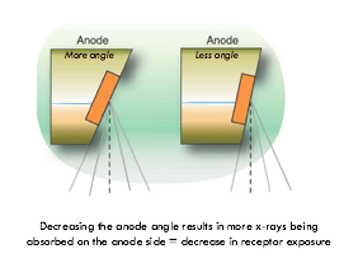 <p>Increased anode heel effect</p>