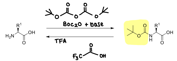 <p>It is stable to bases.</p>