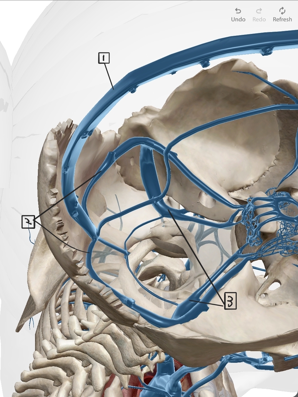 <p>What are these?</p>
