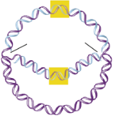 <p>What are the black lines pointing to?</p>