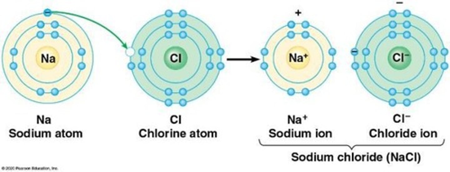 <p>Attractions between ions of opposite charge formed when one atom transfers an electron to another.</p>