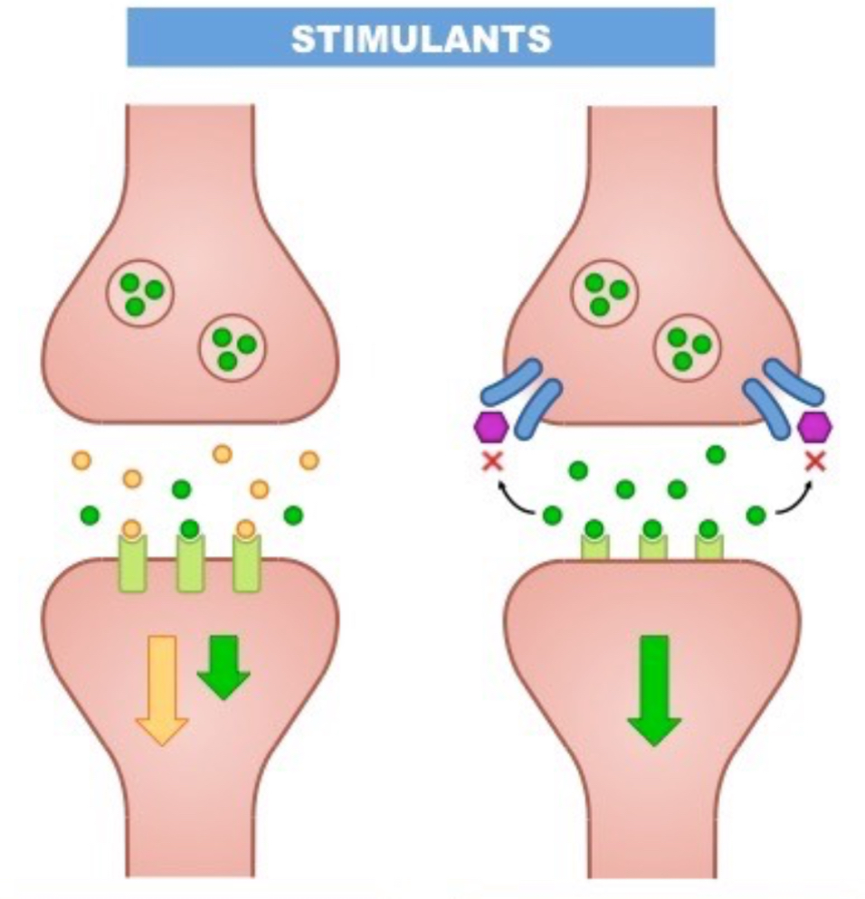 Stimulants 
