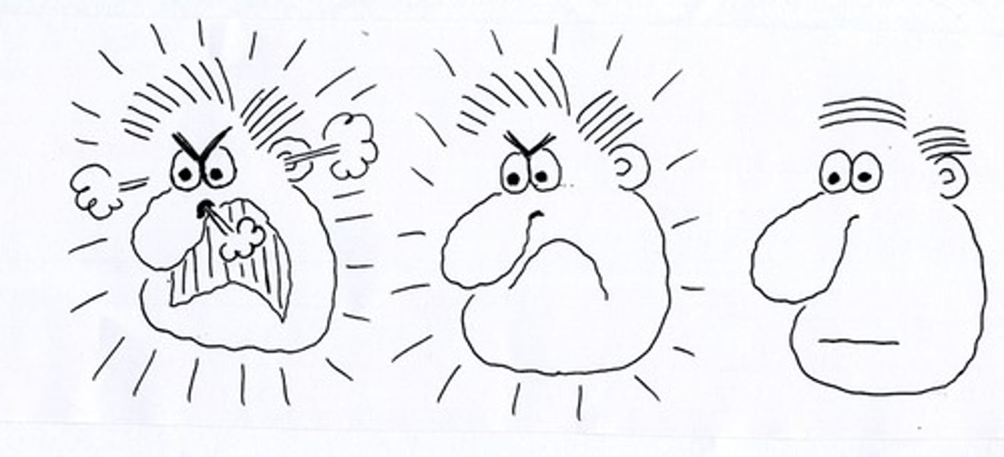 <p>(adj.)冷靜的</p>