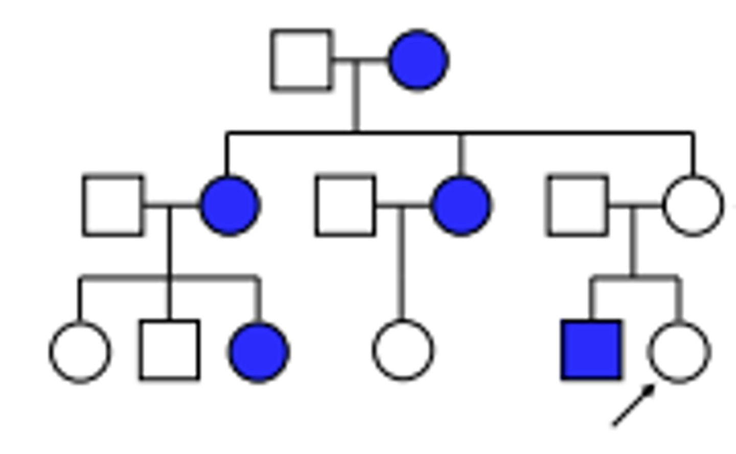 <p>If this is for an autosomal dominant trait, what must be true of II-6?</p>