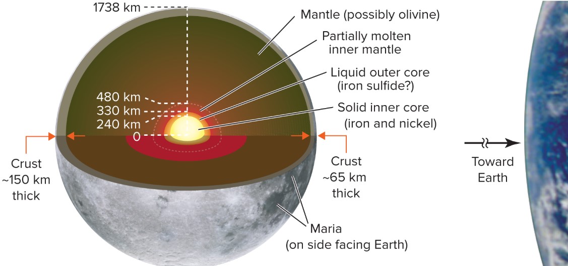 <p>Crust: thinner on side that faces Earth, made of silicate rocks rich in aluminum<br><br>Mantle: rich in olivine (peridot), may be partially molten, little movement due to cooled interior<br><br>Core: small iron core with an outer liquid part</p><p></p>