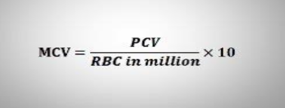 <p>It measure the average volume of single RBC</p>