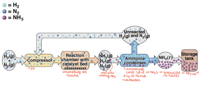 <p>of Haber-Bosch proces is een methode om ammoniak te produceren:</p><ol><li><p>verhoging van de druk in een compressor</p></li><li><p>versnelling van de reactie mbv een katalysator</p></li><li><p>condensatie van het weinig geproduceerde NH3 om dit de scheiden van het overvloedig aanwezige H2 en N2</p></li><li><p>verwijdering van de NH3 waardoor het evenwicht naar rechts schuift (en recuperatie van H2 en N2)</p><ol><li><p>opslag</p></li></ol></li></ol>