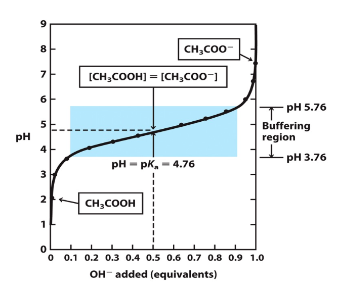 buffers are most effective at pH near their pKa where there’s an equally large pool of both weak acid its conjugate base'

effective buffer zone is shown in blue box

pKa is where concentration of conjugate base equals concentration of acid