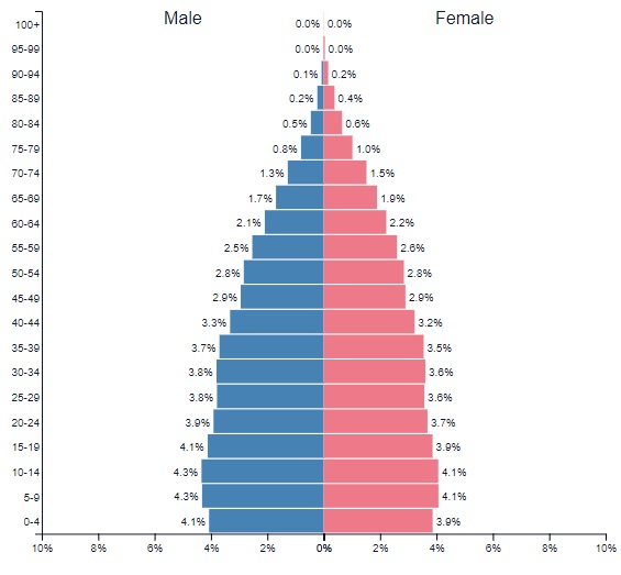<p><span>Graphical representation of the distribution of a population by age and sex</span></p><ul><li><p>Focus on differences between male/female or the THREE different age groups (0-15) (65 and older) - It typically illustrates the proportion of dependents (ages 0-15 and 65+) versus the working-age population (ages 16-64), highlighting demographic trends. </p></li></ul><p></p>