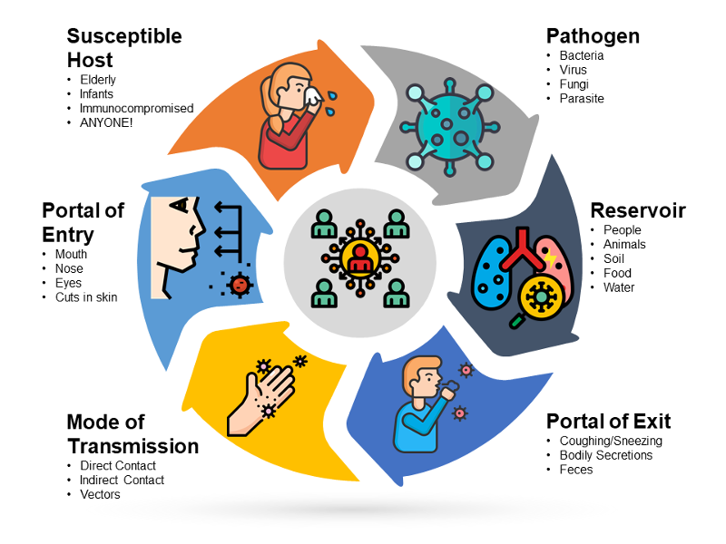 <p>transmission of a pathogen </p>