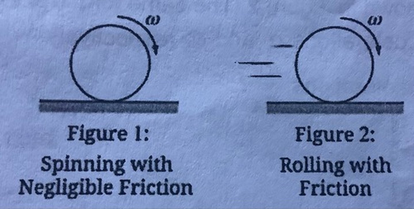 <p>D. The net force and net torque are both zero in Figure 1, but the net torque and net force are both nonzero in Figure 2.</p>