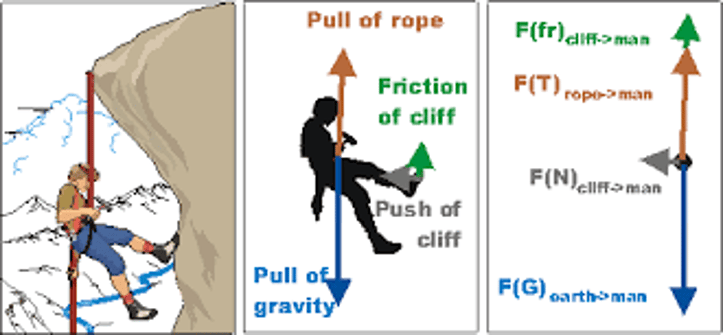 <p>a diagram showing all the forces acting on an object</p>