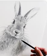 <p>(to) draw / zeichnen / dibujar</p>