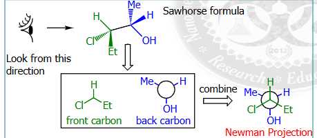 <p>look at the image from left to right, the first carbon chain that appears is on top, and the last is on the back&nbsp;</p><p>carbons bonded together are not visible in newman projections</p>