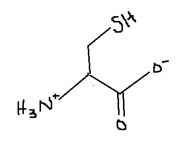 <p>Which amino acid is this?</p>