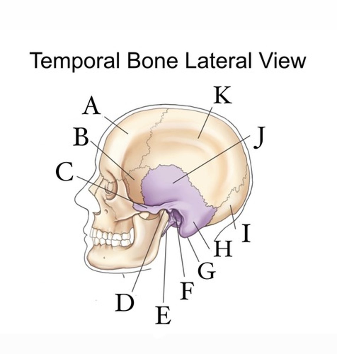 <p>What is A?</p>