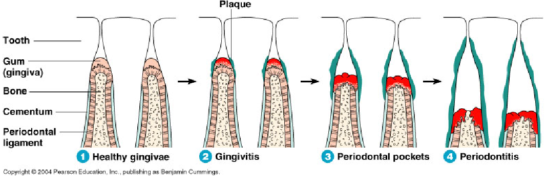 <p>what is this picture basically representing</p>