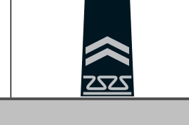 <p>Identify the Cadet Rank and Class Year</p>