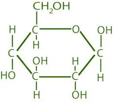 <p>glucose</p>