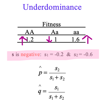 <p>AA and aa homozygotes are dominant</p><p>s is negative </p>
