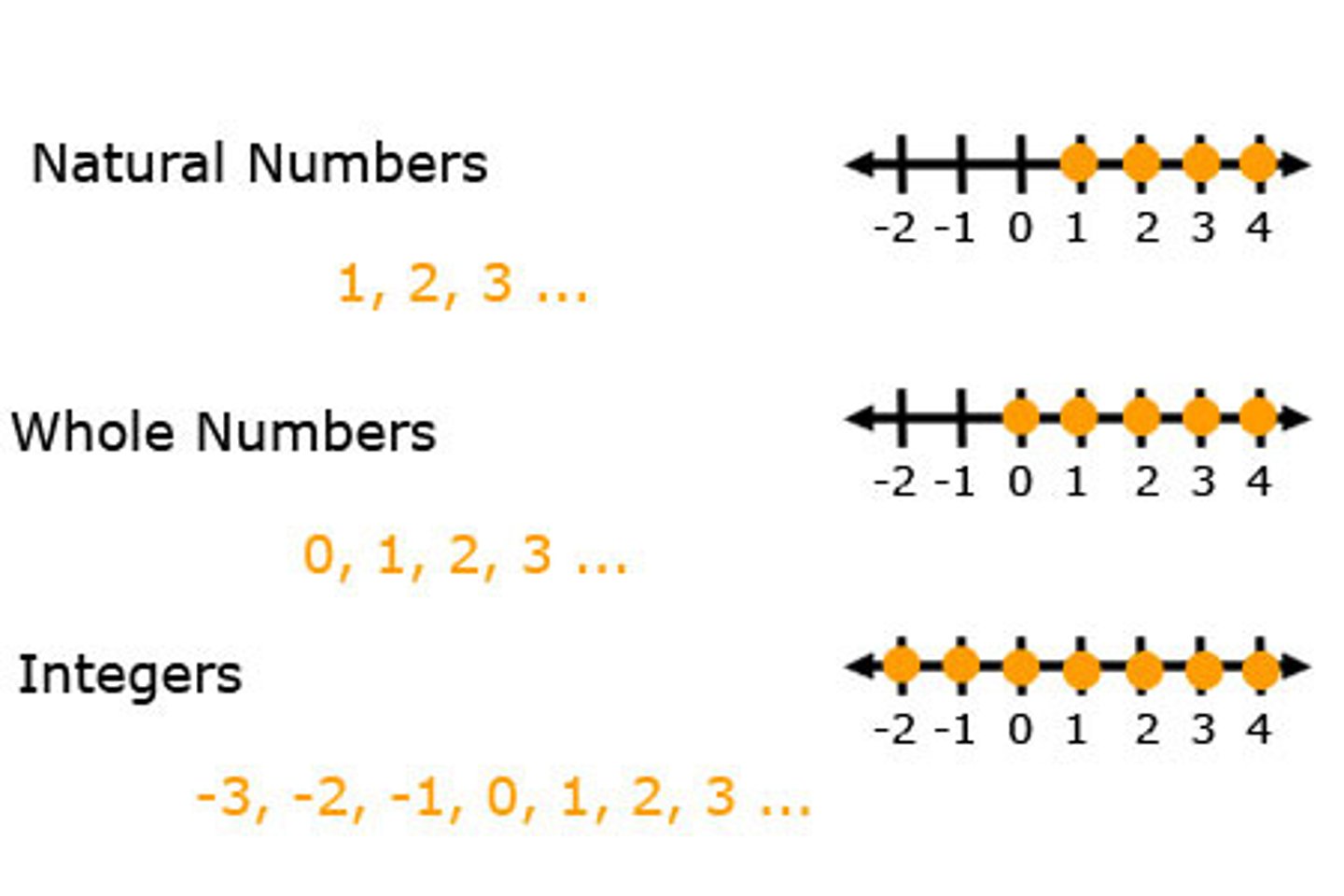 <p>counting numbers</p>