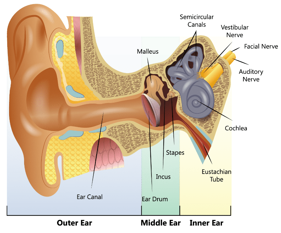 <p>Can only recommend products for the outer ear </p>