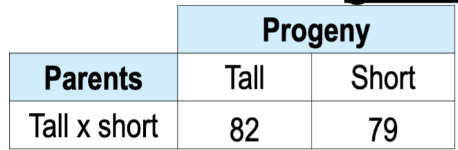<p><span style="color: blue">Tall plant height (T) is dominant over short (t). You<br>cross a tall and a short plant and obtain the following<br>tall and short progeny. What is the most probable<br>genotype of the parents?<br>A. TT x tt<br>B. TT x Tt<br>C. Tt x Tt<br>D. Tt x tt<br>E. tt x tt</span></p>